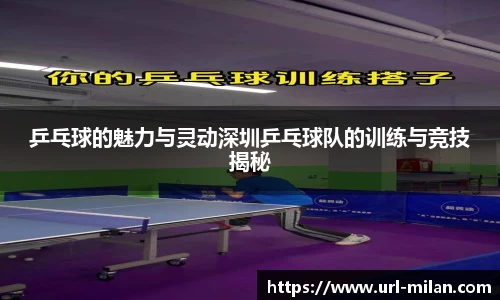 乒乓球的魅力与灵动深圳乒乓球队的训练与竞技揭秘